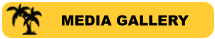 MEDIA GALLERY